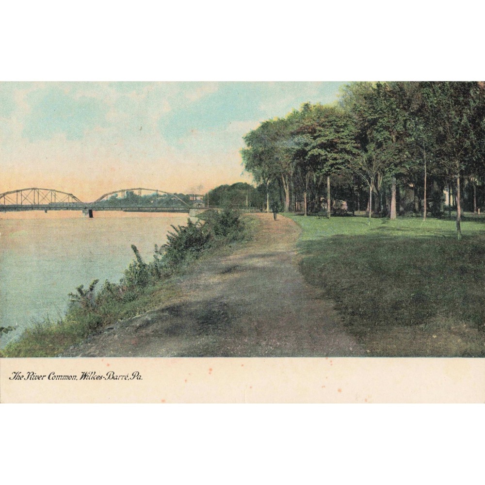 Wilkes-Barre Pennsylvania PA Vtg Postcard The River Common Susquehanna Bridge - Picture 1 of 2